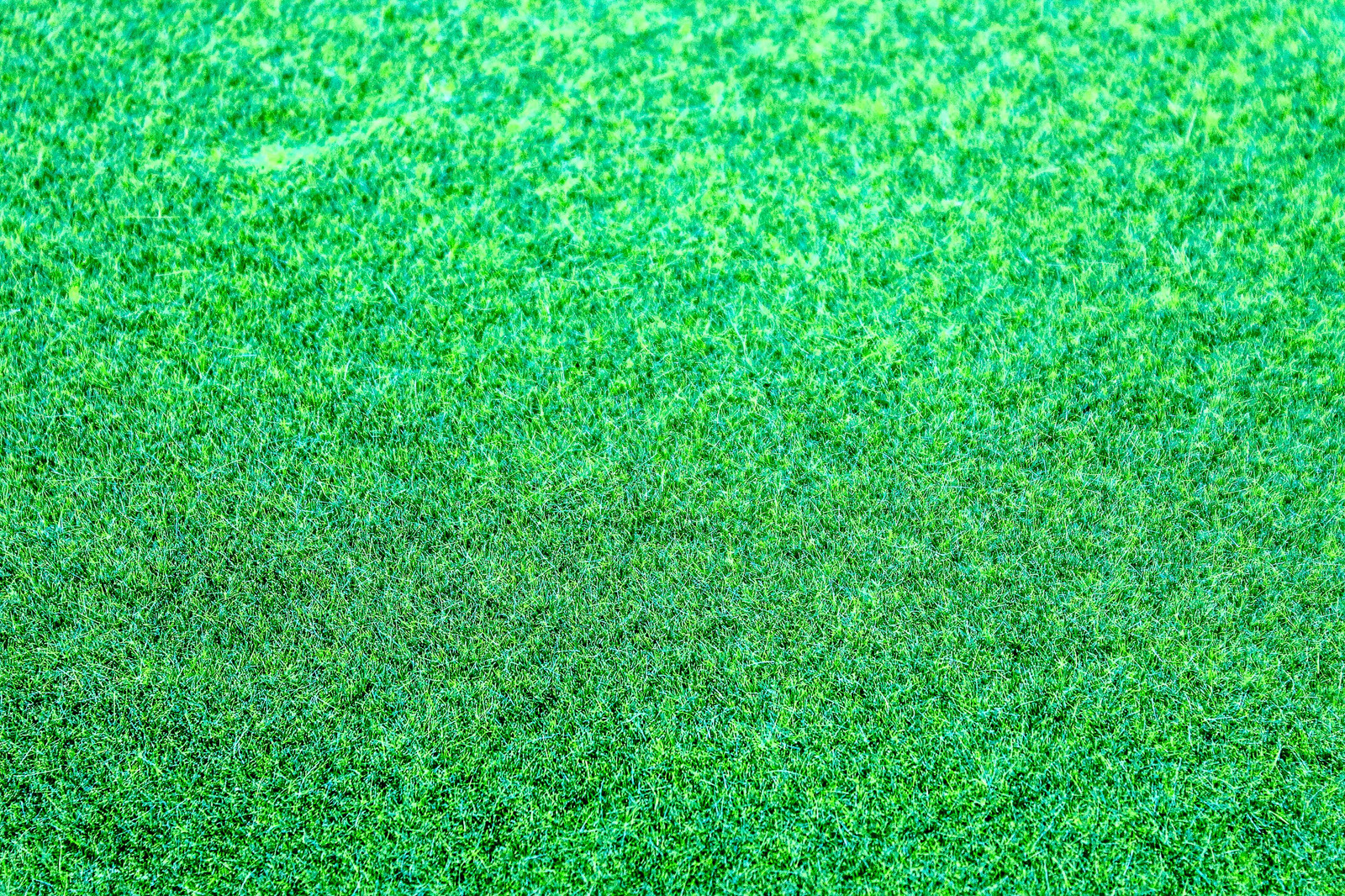 this image shows turf colors offered by proturf artificial grass solutions in california