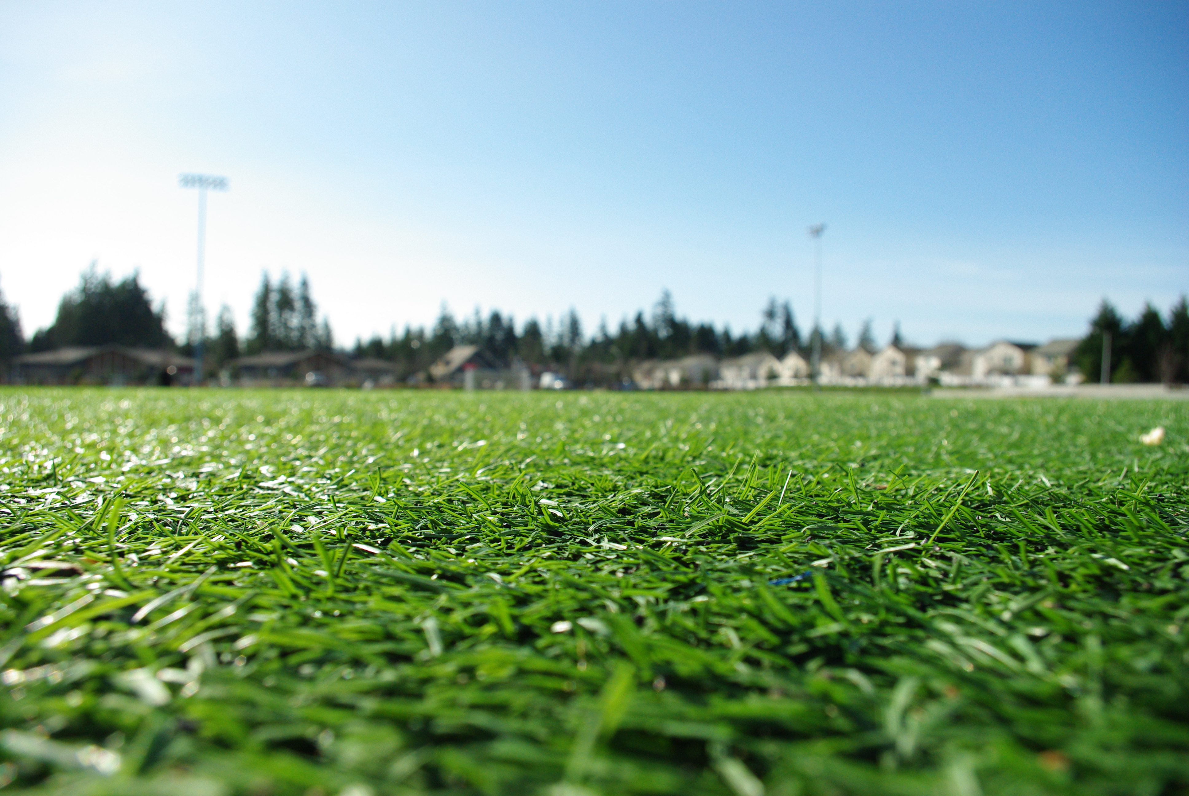 this image shows artificial turf installation in sacramento and placer county california