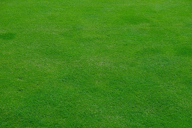 this image shows putting green turf in california