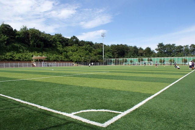 An image of sport turf in El Dorado Hills.