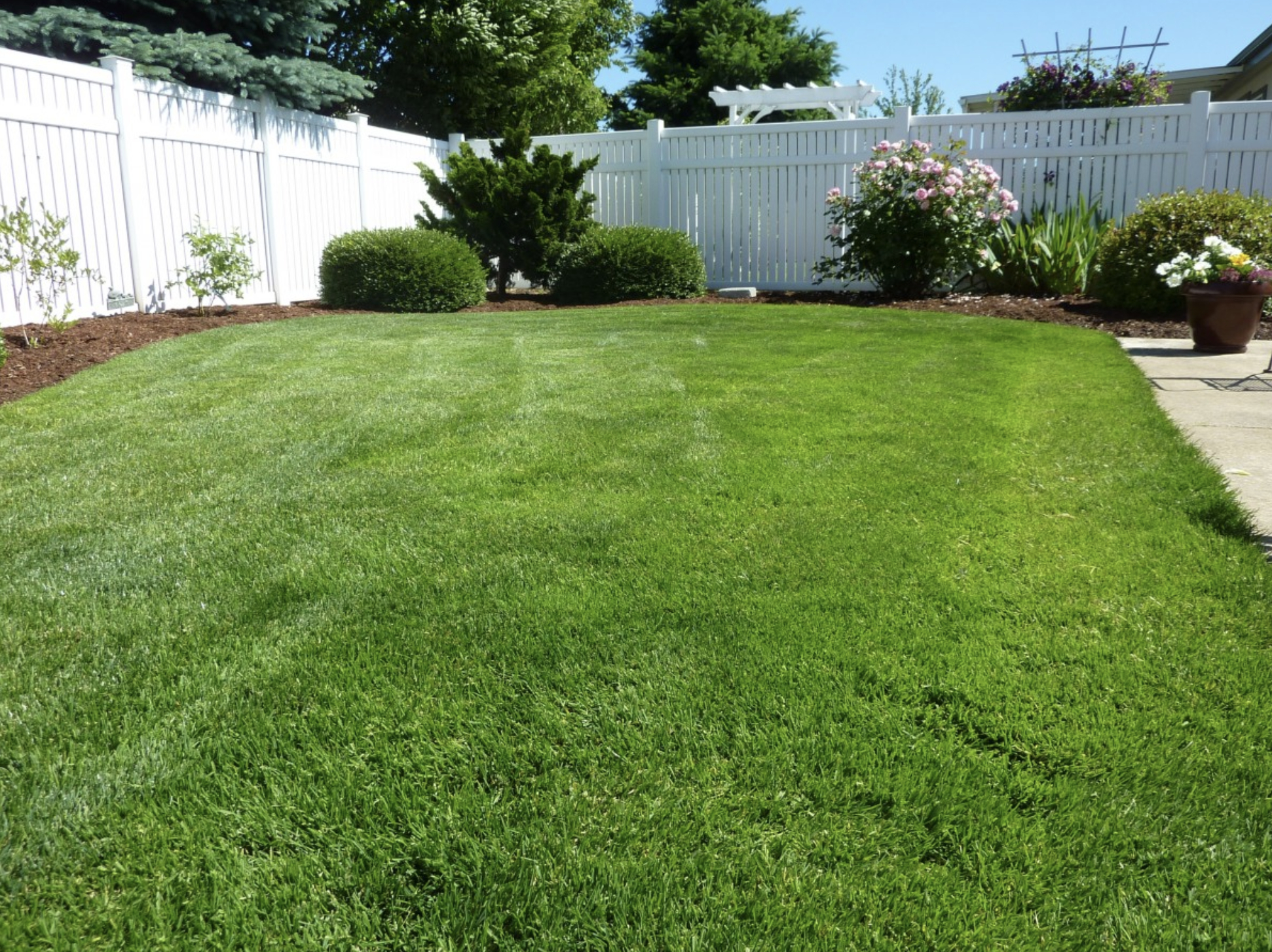 This image shows artificial backyard in El Dorado Hills.