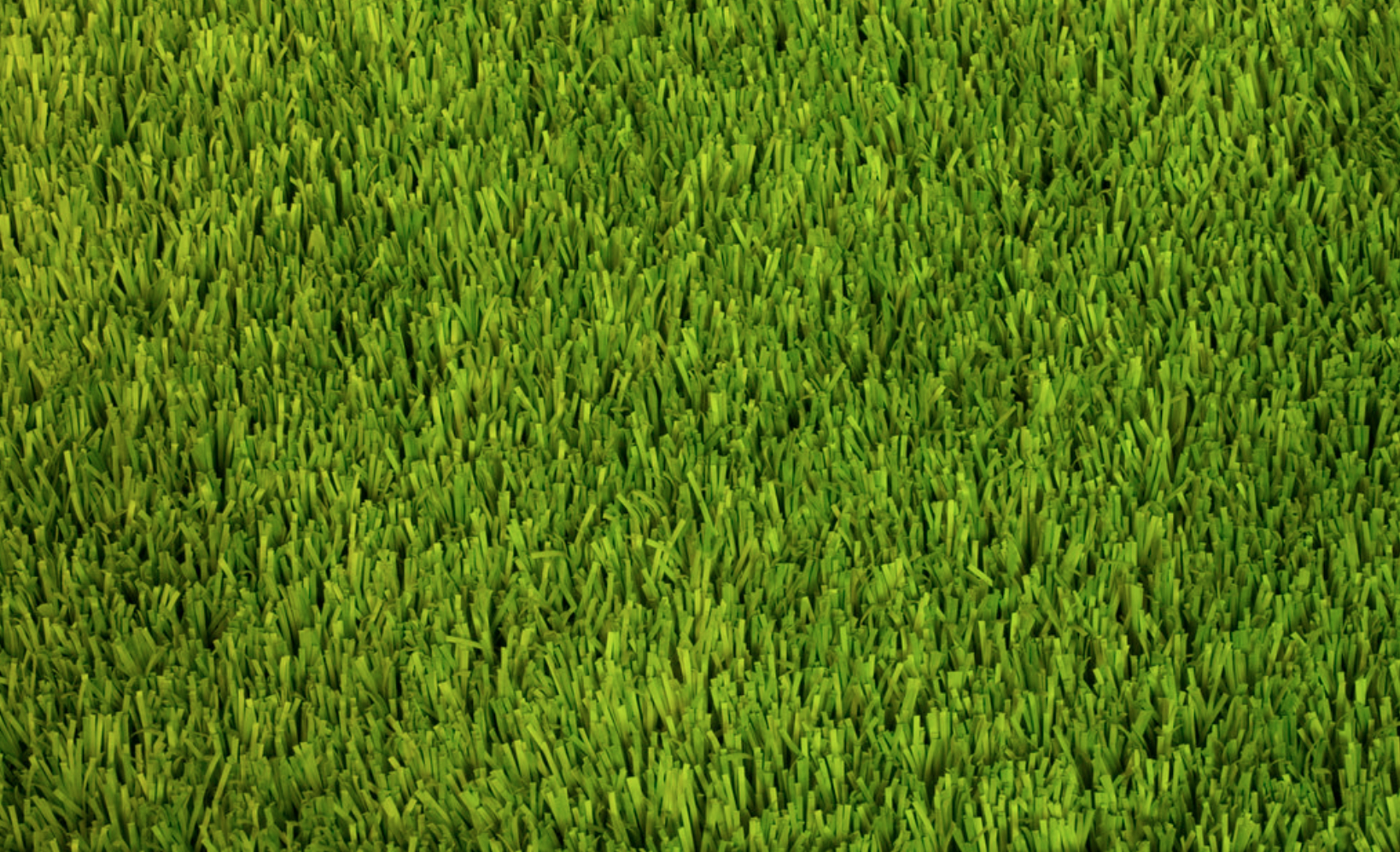 An image of artificial turf in Lincoln.