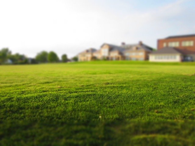 This is an image of artificial grass in Elk Grove, CA.