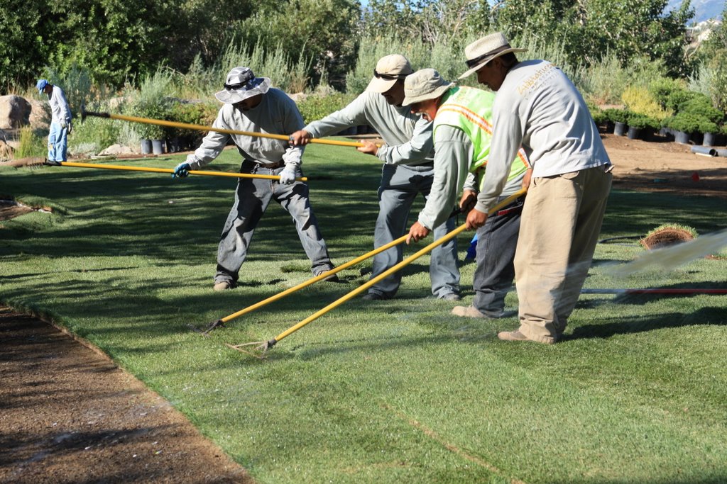 this image shows artificial installation of turf in sacramento, ca