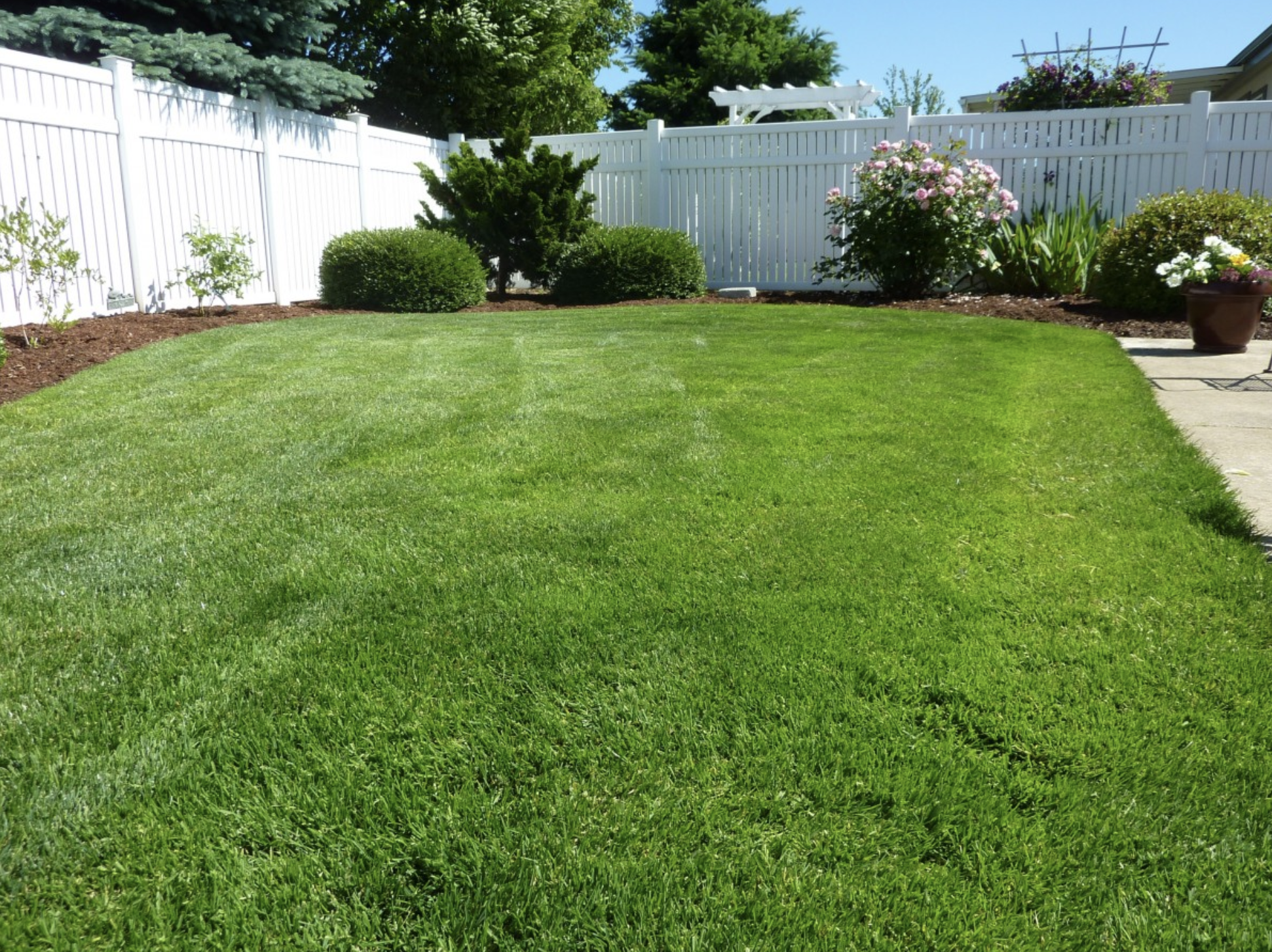 an image of turf installation in rocklin, ca