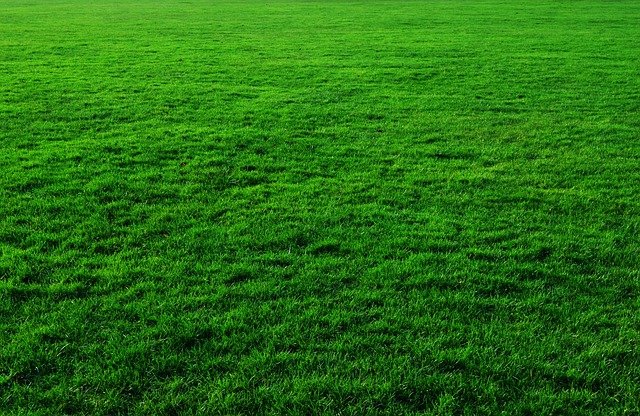 this is a picture of artificial grass in rocklin, ca.