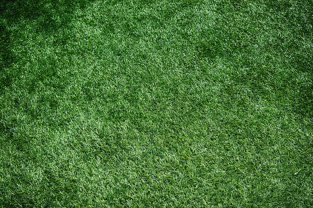 This is a picture of artificial grass in California.