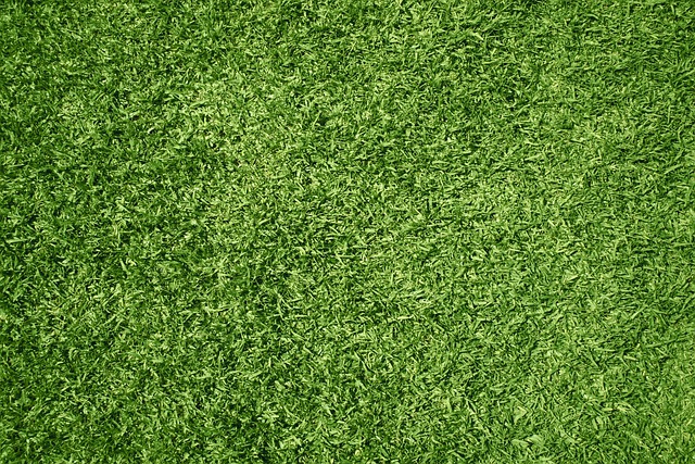 This is a picture of Folsom pet turf installation.