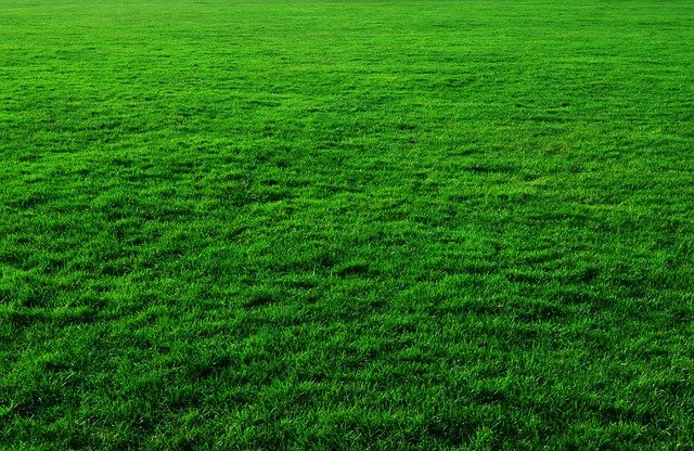 This is a picture of Folsom synthetic grass.