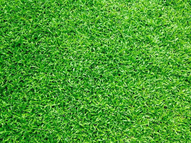 An image of Folsom synthetic turf.